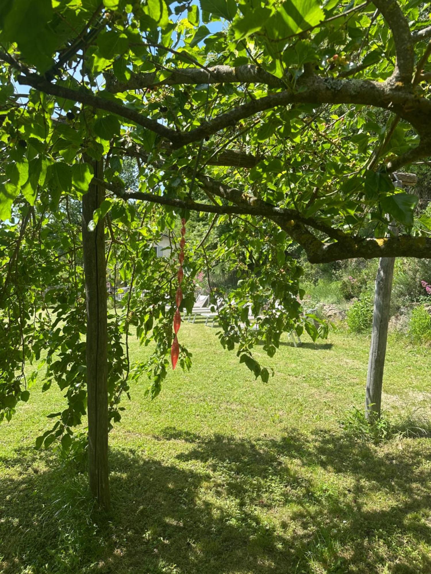Collina Di Sopra Villa Tresana Dış mekan fotoğraf