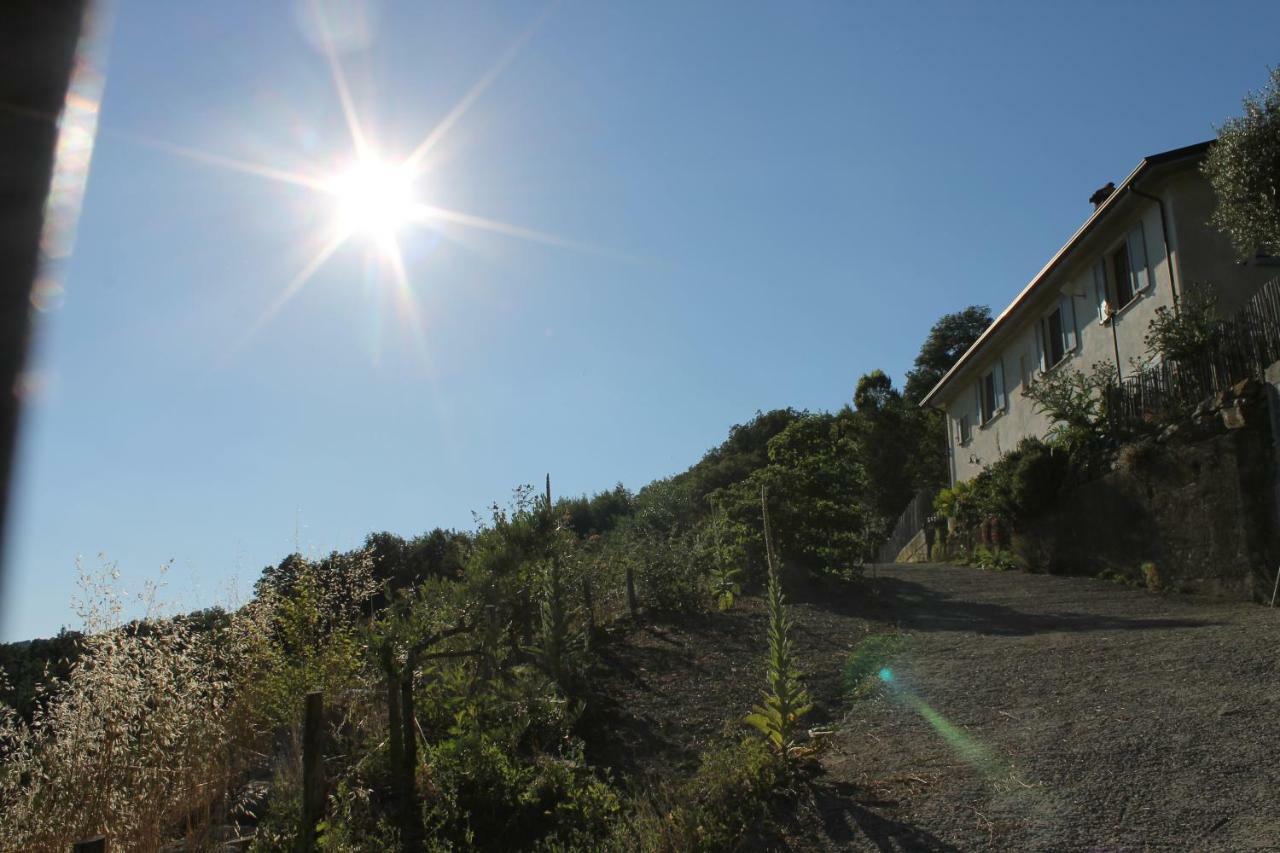 Collina Di Sopra Villa Tresana Dış mekan fotoğraf